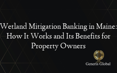 Wetland Mitigation Banking in Maine: How It Works and Its Benefits for Property Owners