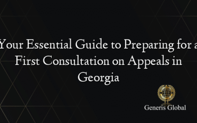 Your Essential Guide to Preparing for a First Consultation on Appeals in Georgia